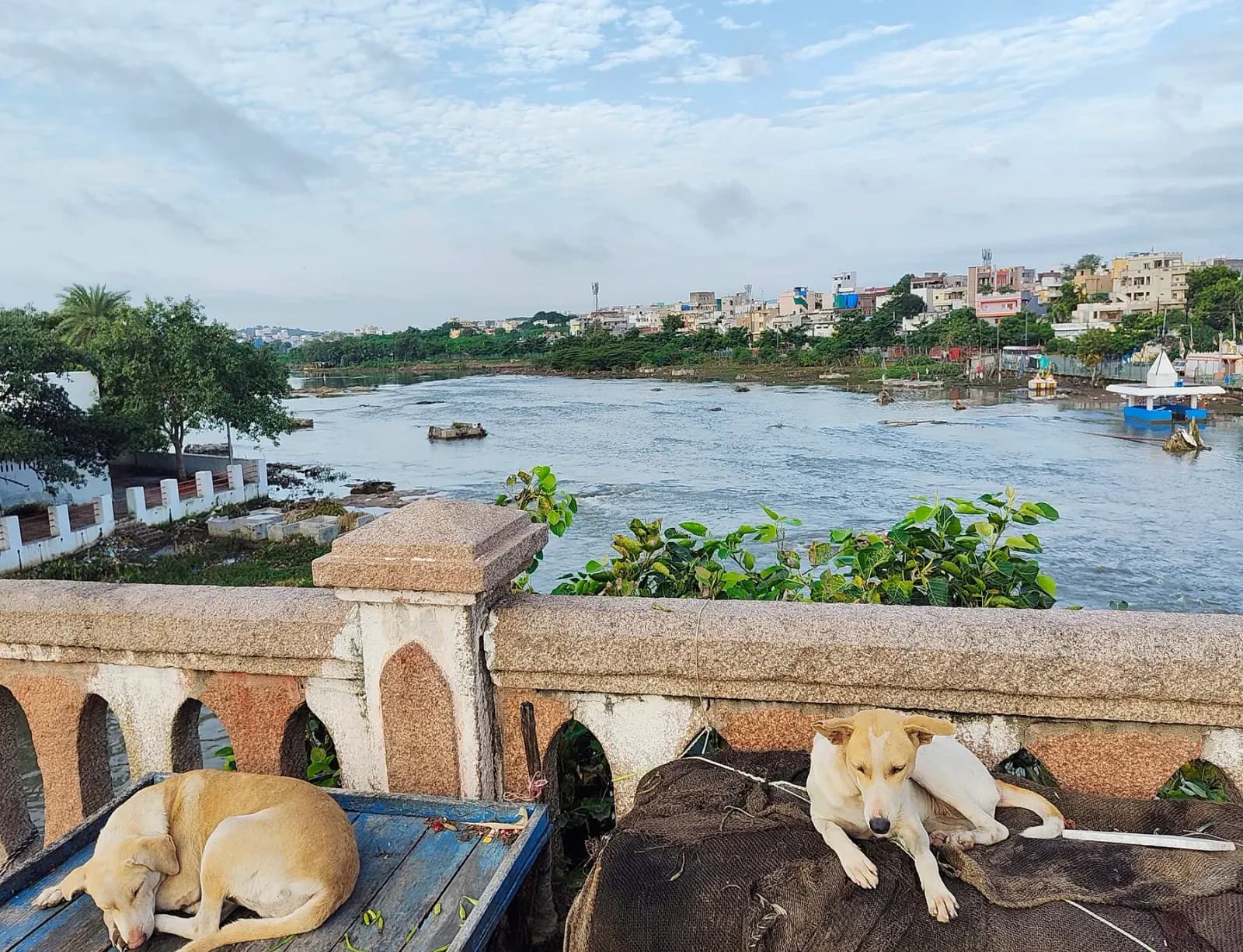 The Musi River at Purana Pul, Hyderabad.