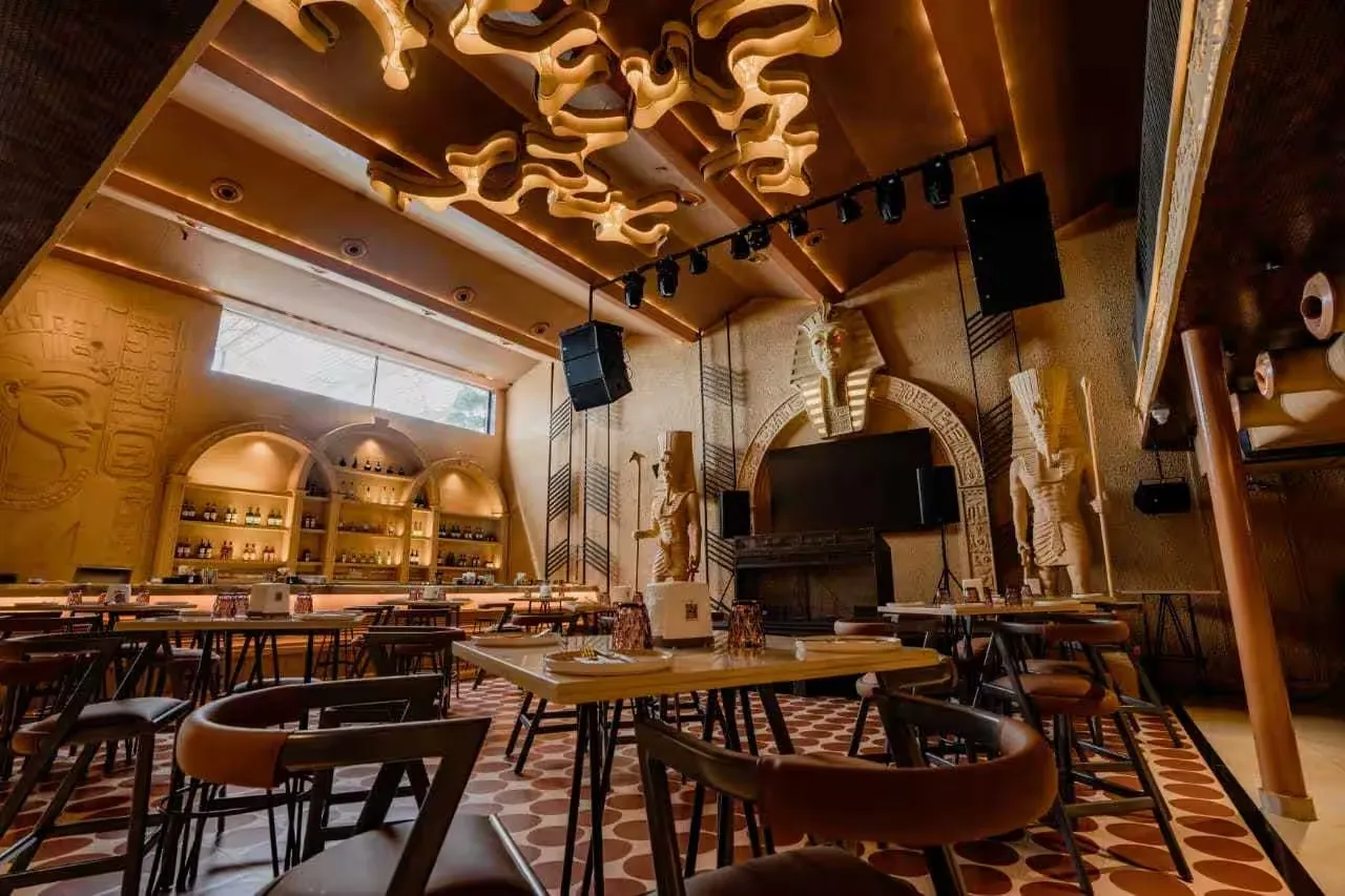 Dune - Bar & Kitchen, photograph 4