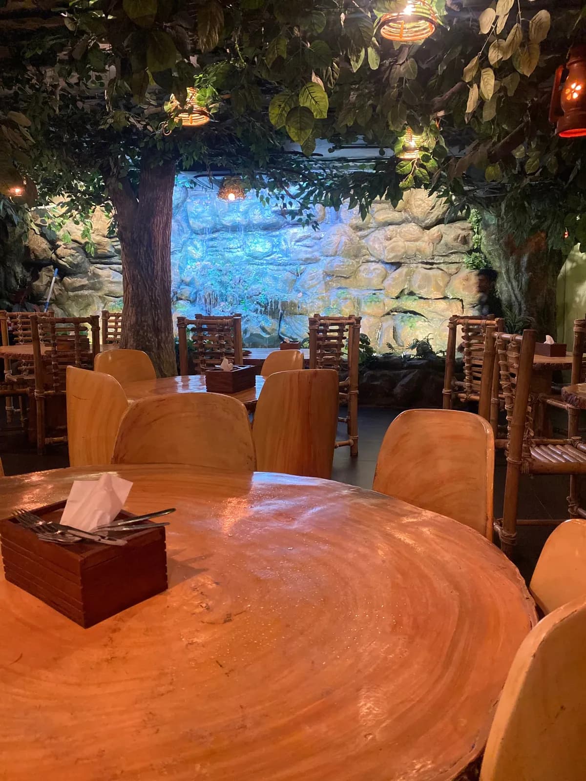Maredumilli - The Forest Grill & Bar, photograph 2