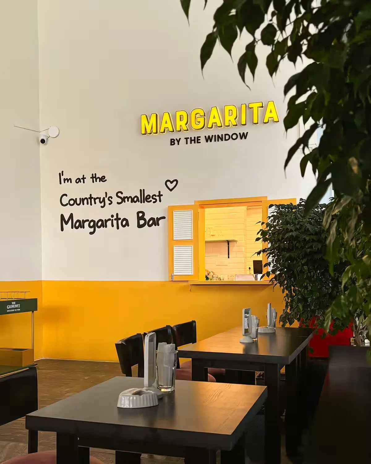 Margarita by the Window, photograph 3