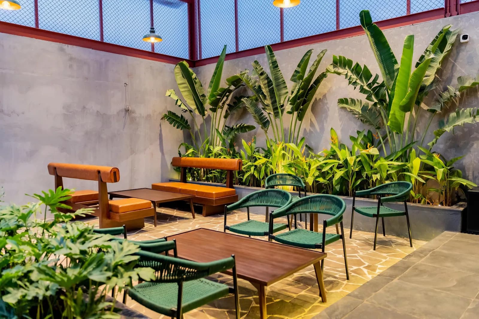 Nouba Bar & Kitchen, photograph 2