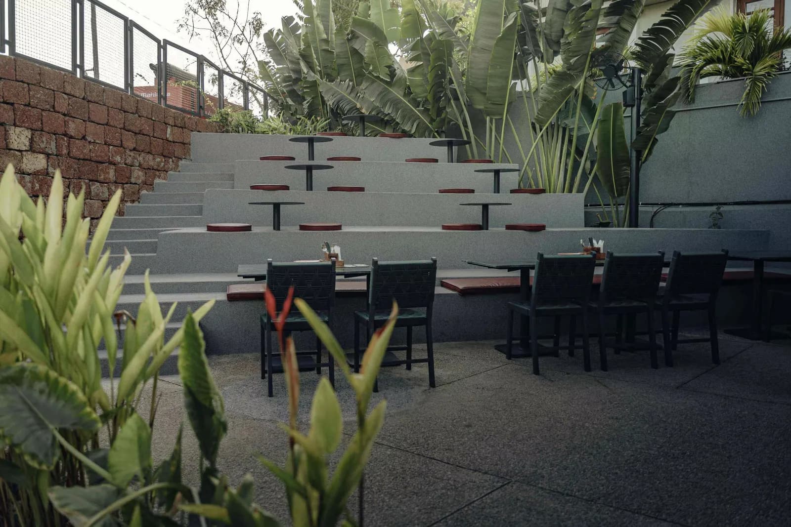 Pawwa - Everday Bar + Bites, photograph 2