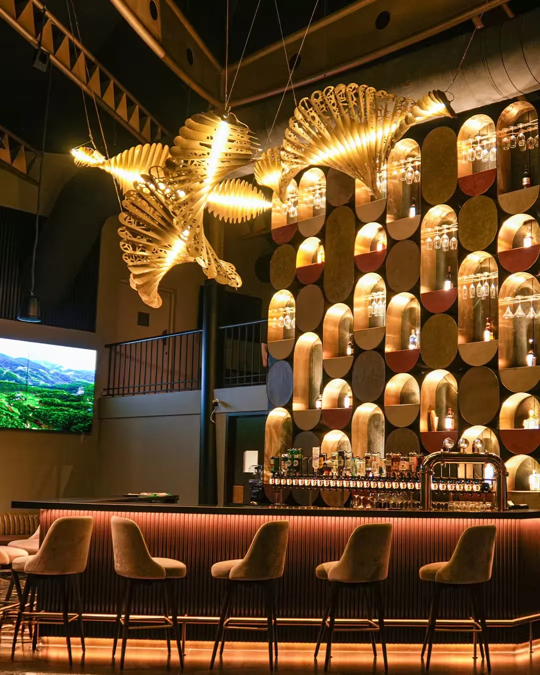 Qosa - Kitchen & Bar, photograph 6