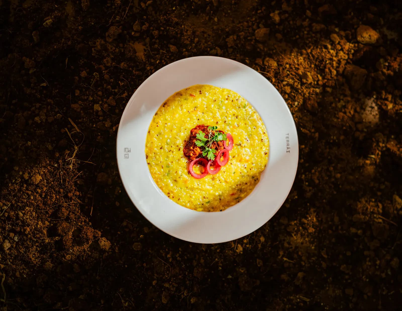 Terrai - Neo Telangana Kitchen and Bar, photograph 4