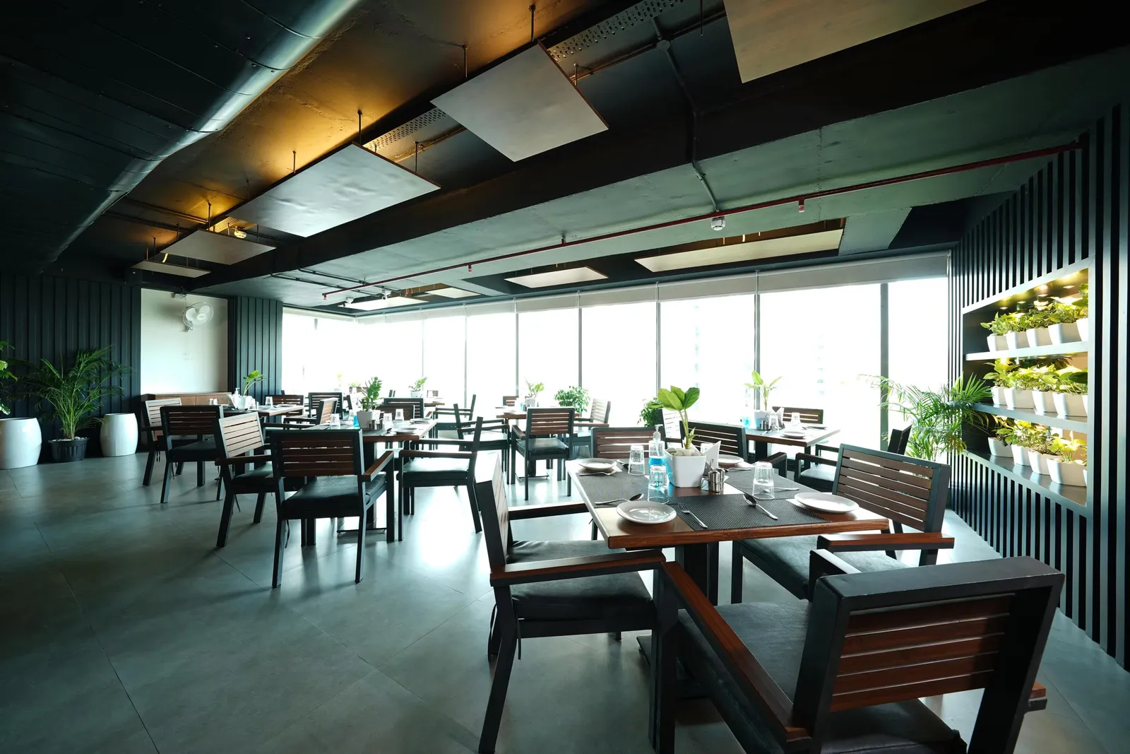 The Night Bird Bar & Kitchen, photograph 4