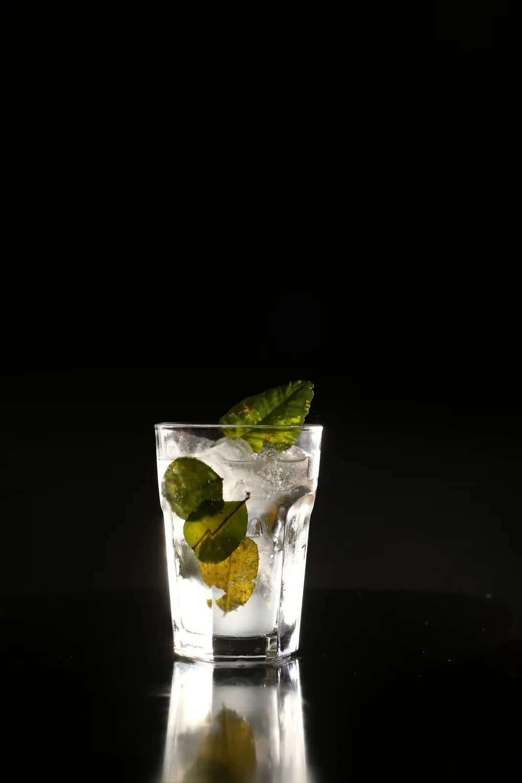 Zega, photograph 5