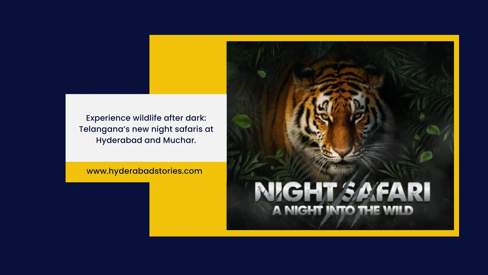 Graphic of a tiger at night advertising a night safari