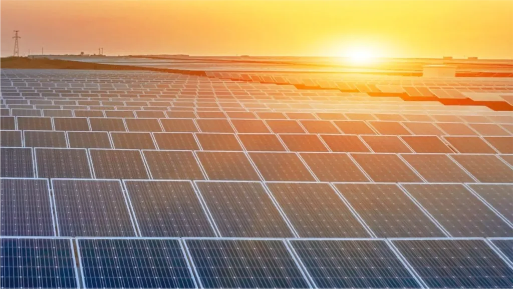 Rows of solar panels stretching to the horizon under a low orange sun