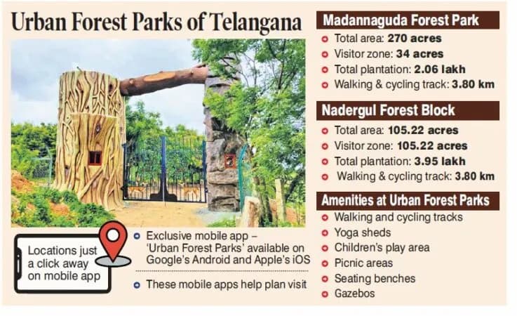 Infographic listing urban forest parks with areas and amenities