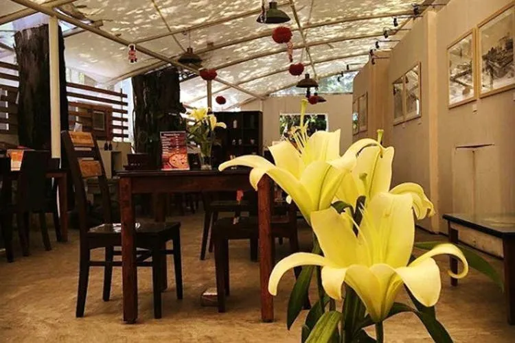 Gallery-Cafe-8 -hyderabad Stories