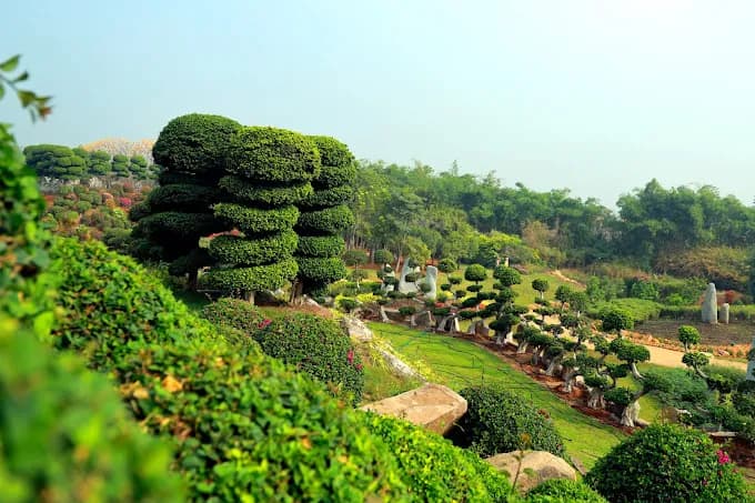 Landscaped garden with sculpted topiary on a hillside