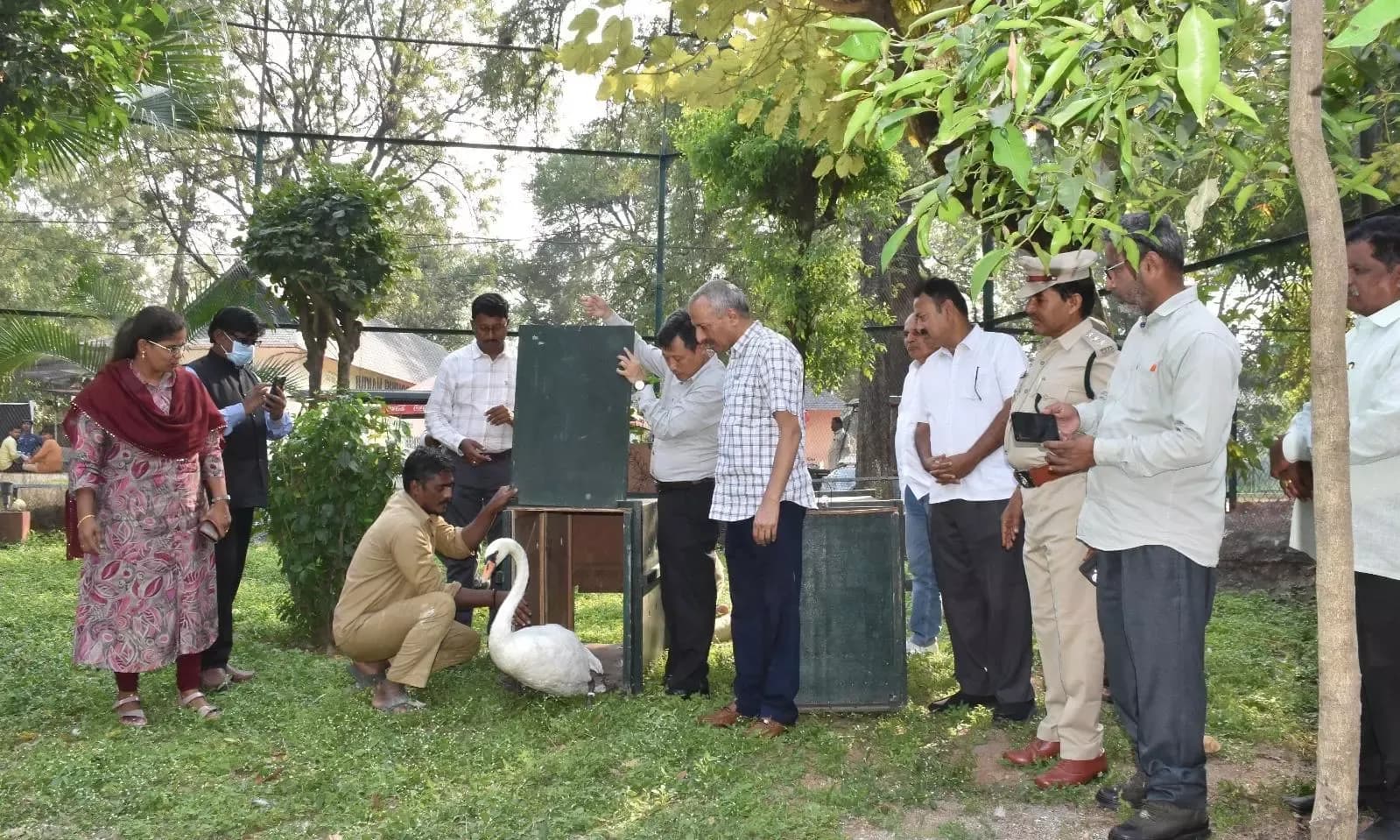 Grace on the Water: Hyderabad Zoo Welcomes Two New White Swans