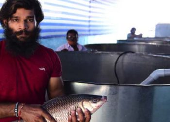 Hyderabadis can order for live, healthy fishes here