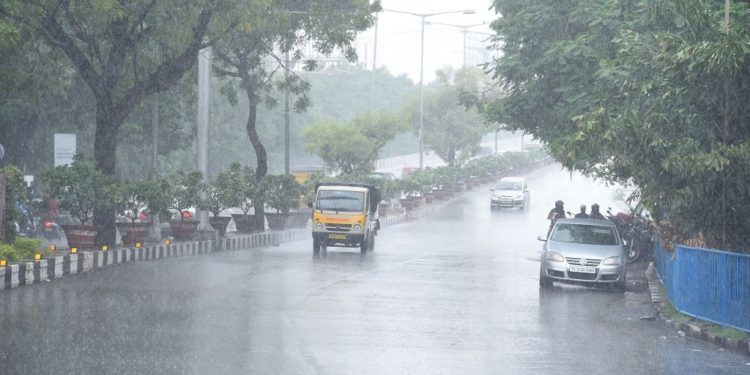 RAIN-1