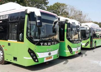TS buses