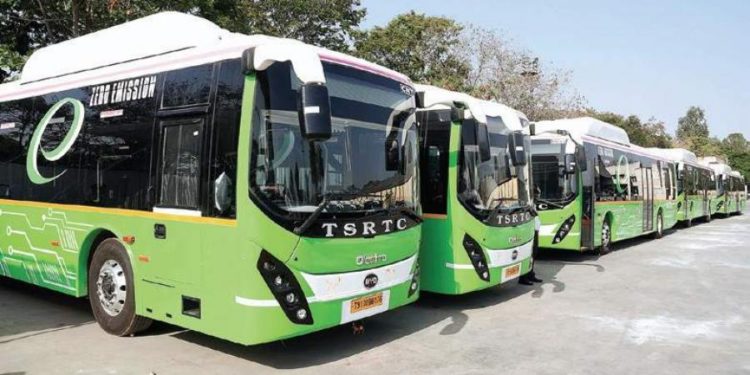 TS buses