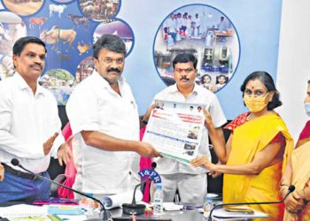 Vijaya-icecream