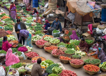 Hyderabad's Bowenpally market's vegetable waste generates electricity, biofuel