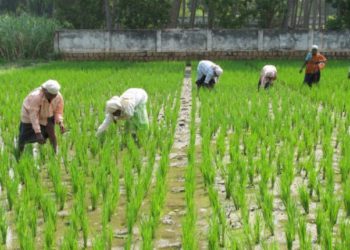 Nabard sanctions Rs 9cr for agri varsity’s hub