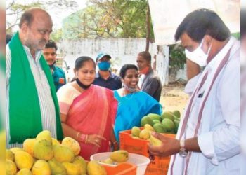 Summer’s here: Pluck your mangoes from this online store in Hyderabad