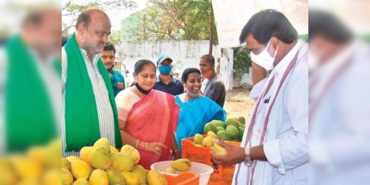 Summer’s here: Pluck your mangoes from this online store in Hyderabad
