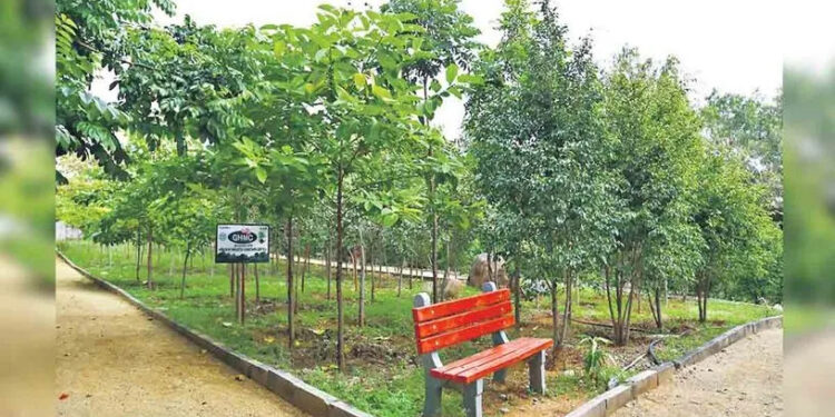 This Independence Day, walk into any HMDA park in Hyderabad without entry fee