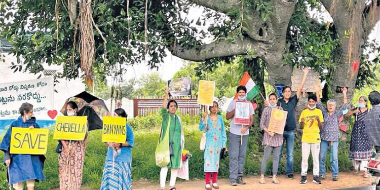 Green crusaders bat for protection of banyan trees in Hyderabad