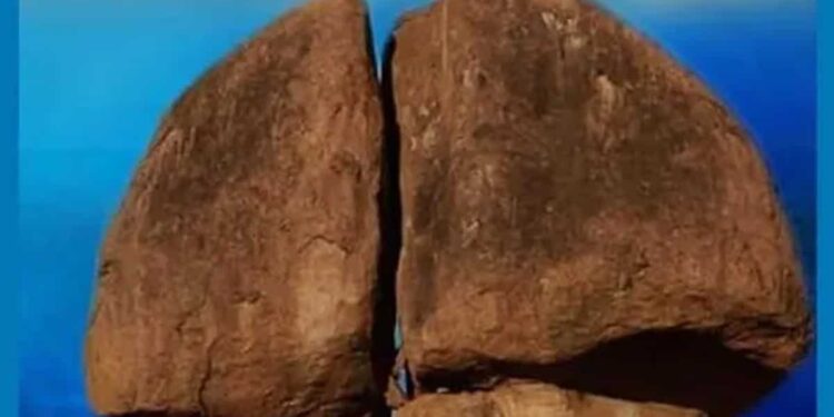 Free screening of ‘Other Kohinoors, The Rocks of Hyderabad’ on Sept 4