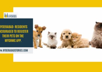 Hyderabad: Residents encouraged to register their pets on the MyGHMC app.