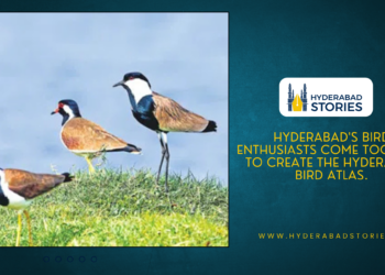Hyderabad’s bird enthusiasts come together to create the Hyderabad Bird Atlas.