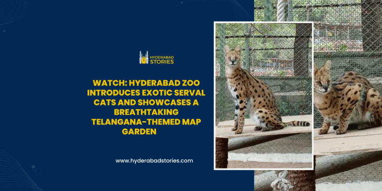 Watch: Hyderabad Zoo introduces exotic Serval cats and showcases a breathtaking Telangana-themed map garden